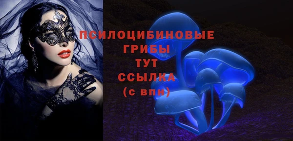 spice Волоколамск